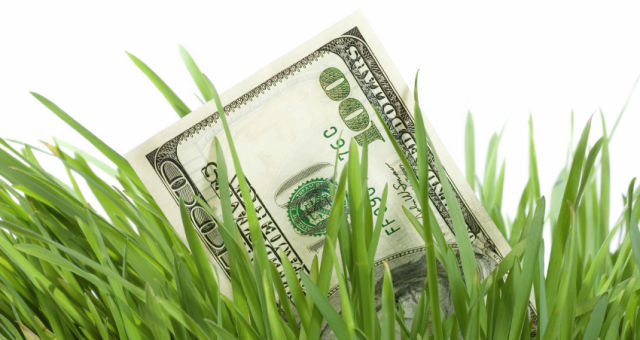 Investor Finance